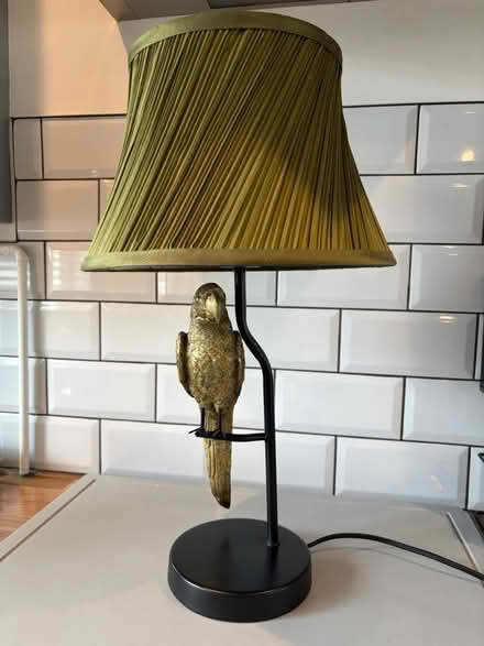 Photo of free Parrot Lamp (Hampden Park BN22) #2