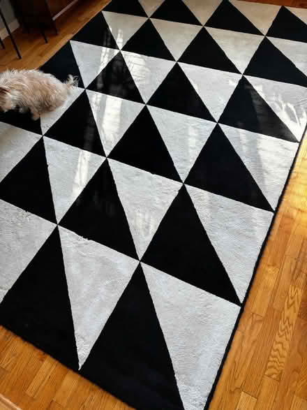 Photo of free 6’7” x 9’10” Black and Ivory Rug (Hillman City) #2