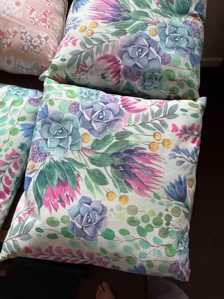 Photo of free 8 x cushions with covers (Charfield, GL12) #2