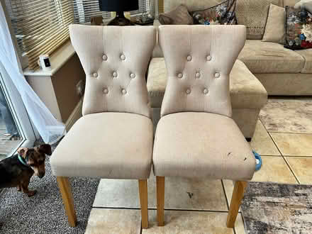 Photo of free Four oatmeal fabric dining chairs (Oakley MK43) #1