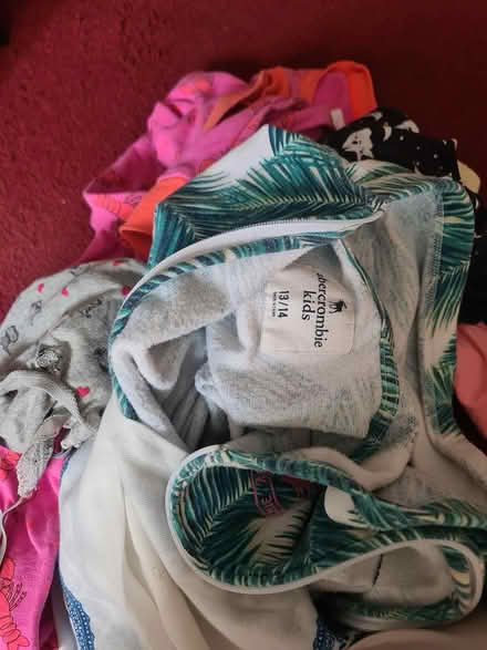 Photo of free Girls clothes (East finchley N2) #2