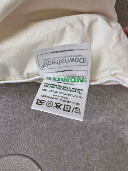 Photo of free SuperKing Feather Pillows (Nazeing CM19) #3