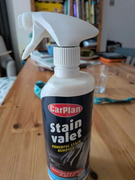 Photo of free Caroline valet cleaner (Honor oak SE23) #1