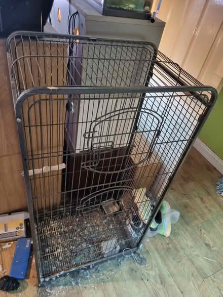 Photo of free Bird cage (Huyton) #1
