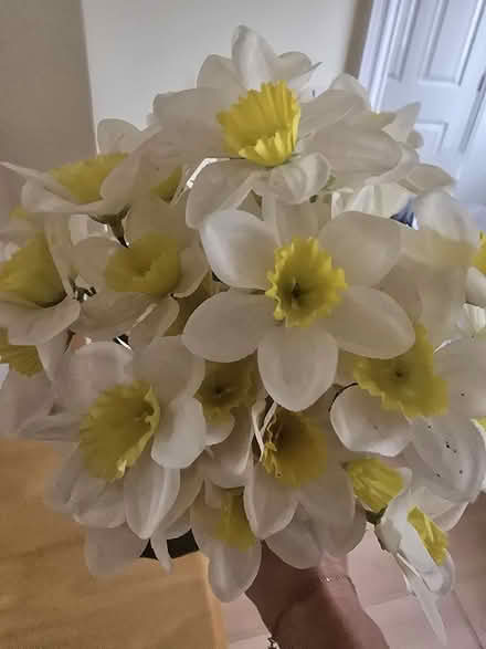 Photo of free Artificial daffodils (Portchester PO16) #1