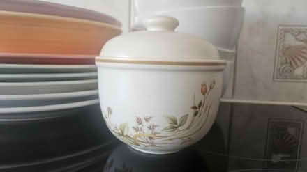 Photo of free Royal Doulton Mixed plates bowls (Hoddesdon EN11) #3