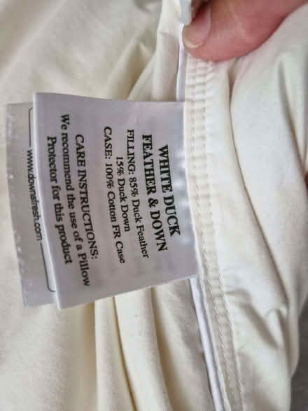 Photo of free SuperKing Feather Pillows (Nazeing CM19) #2