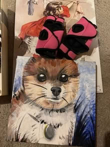 Photo of free Random Stuff (Century park, cathedral city) #1