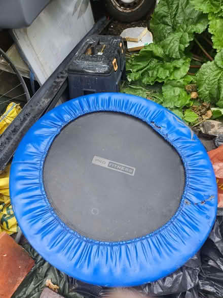Photo of free Mini trampoline (Llanberis LL55) #1