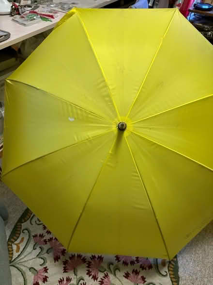 Photo of free Three umbrellas (Fremont) #3
