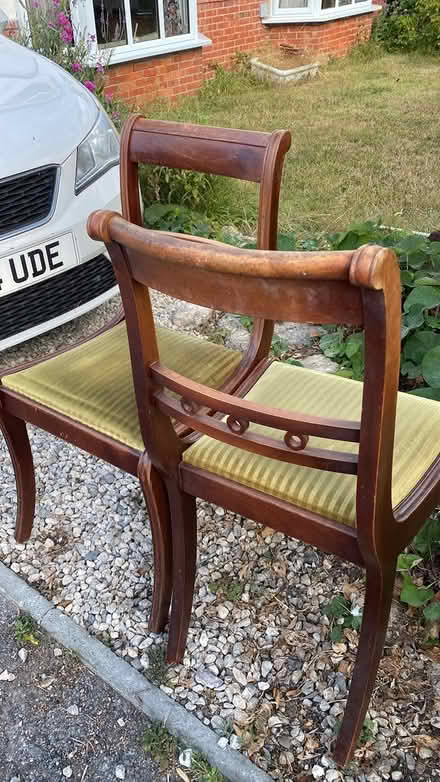 Photo of free Dining chairs (Walditch ,Bridport) #1