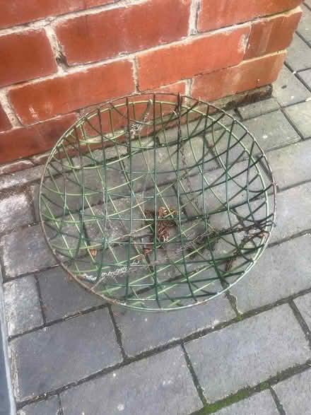 Photo of free Two hanging baskets (Hulme M16) #1