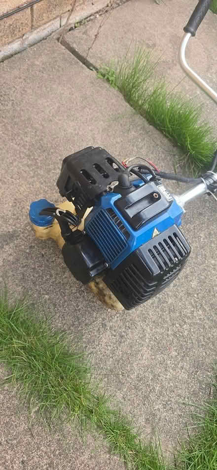 Photo of free Strimmer -cowhorn - petrol 2 stroke (Drybrook GL17) #1