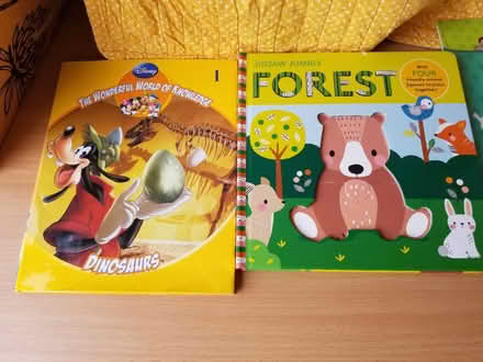 Photo of free Assorted children's books (Gloucester GL1) #2