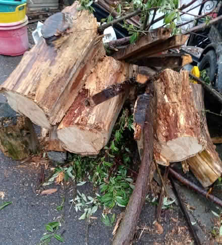 Photo of free Large Trunks (Wood) (Cropston) #1