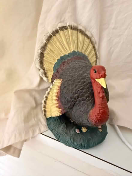 Photo of free Various decoration items (N13) #1
