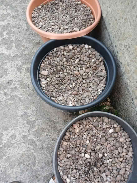 Photo of free Pebbles (Heaton Norris SK4) #1