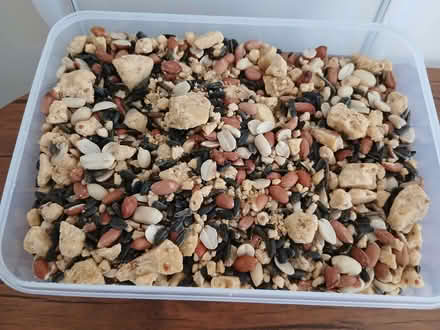 Photo of free 1. Large container of bird food (Bournemouth BH1) #1