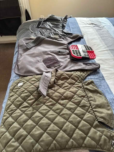 Photo of free Dog coats (Balgowan DD3) #3