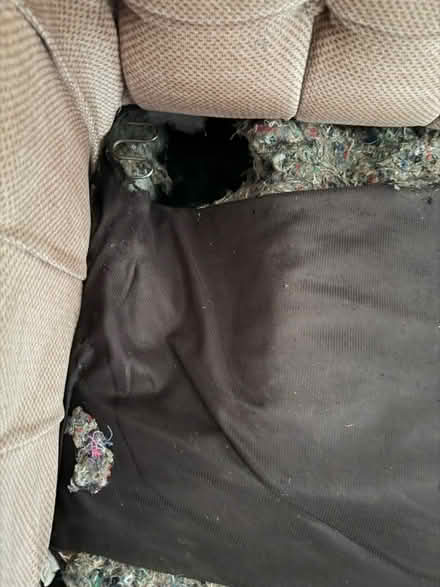 Photo of free Sofa set (Luton) #4