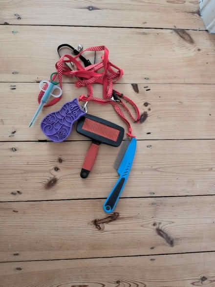 Photo of free Cat - bits and pieces (Northfields W5) #1