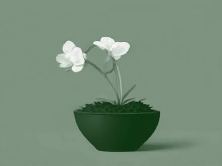 Photo of Orchid compost (Lullington BA11) #1