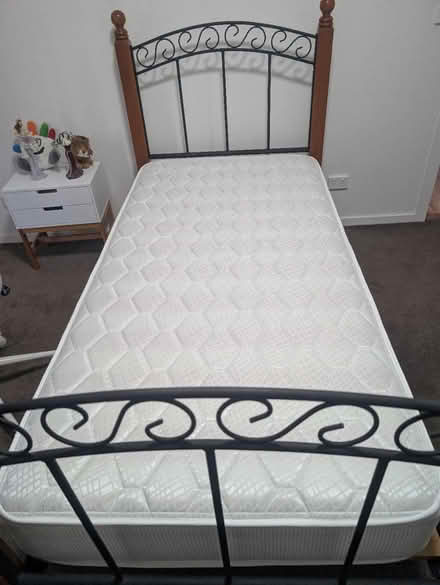 Photo of free Single bed frame and matteress (Surf coast area) #1