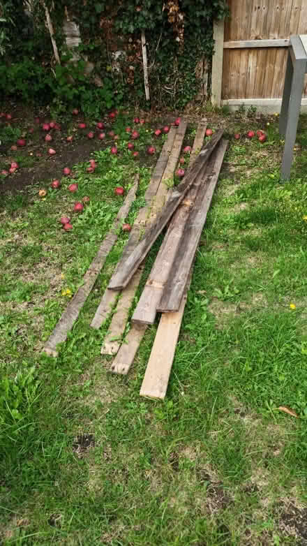 Photo of free Pieces of wood (Arlesey SG15) #3