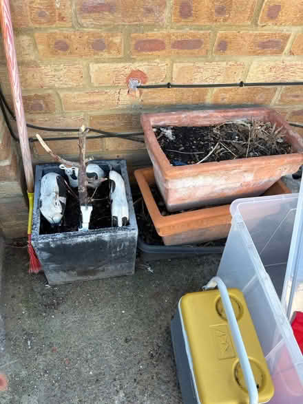Photo of free Flower pots (Hanworth TW13) #1