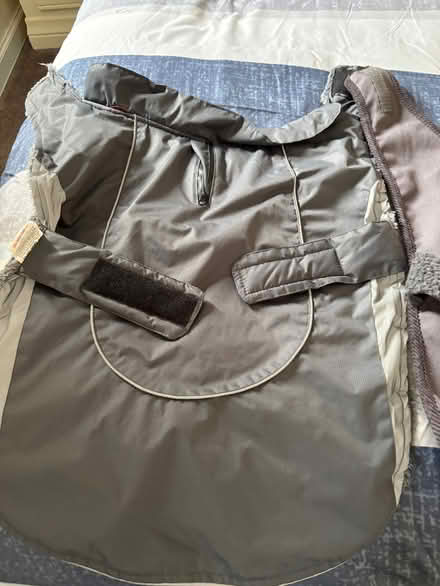 Photo of free Dog coats (Balgowan DD3) #2