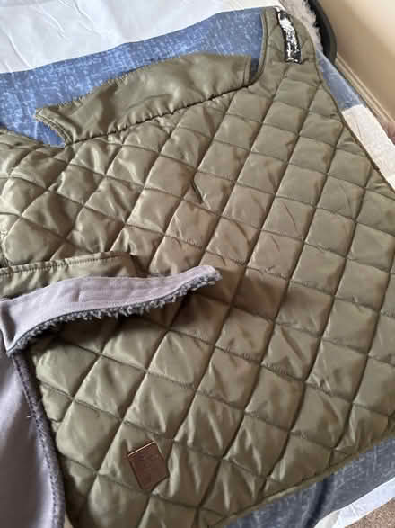 Photo of free Dog coats (Balgowan DD3) #4