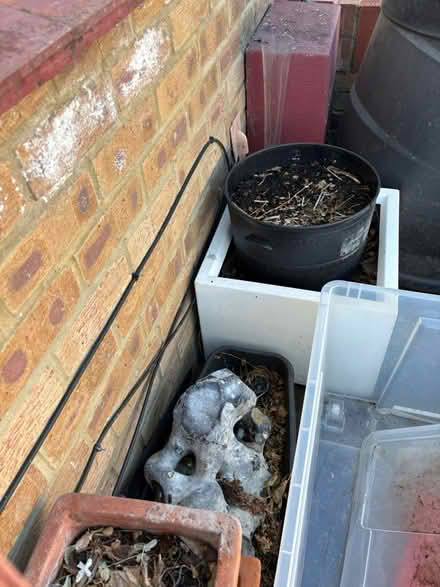 Photo of free Flower pots (Hanworth TW13) #2