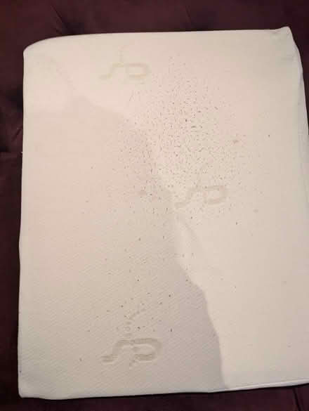 Photo of free Wedge pillow (Sheffield S12) #3