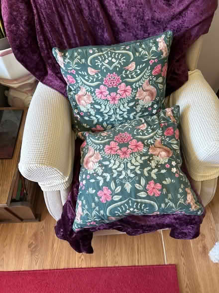 Photo of free Sofa cusions (BR6) #2