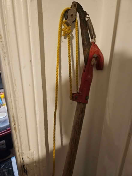 Photo of free Tree Lopper (Loughborough LE11) #2