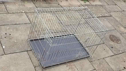 Photo of free Dog Crate : W 93 x D 57 x H 65 cm (Dawlish EX7) #1