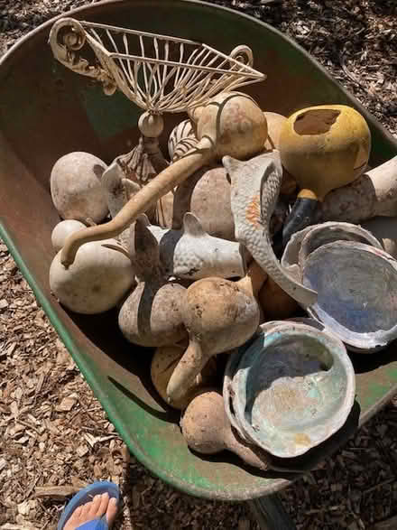 Photo of free Pots for Plants (Just outside Graton, Calif) #1