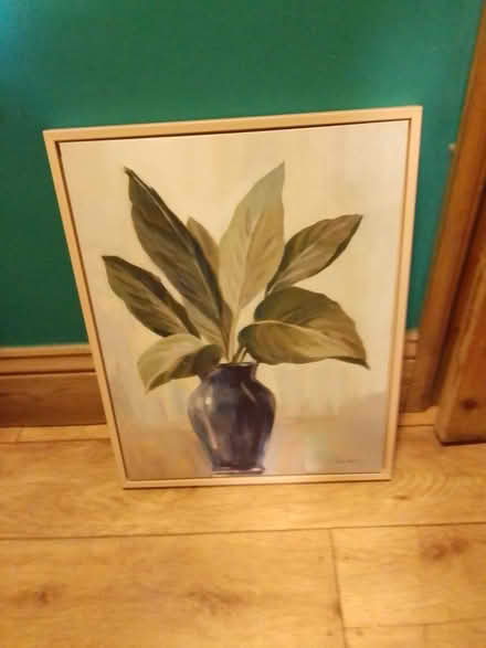 Photo of free Canvas vase painting (Killamarsh S21) #1