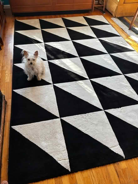 Photo of free 6’7” x 9’10” Black and Ivory Rug (Hillman City) #1