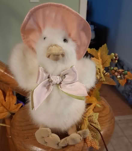 Photo of free Plush Goose (Mavis and Rathburn) #1
