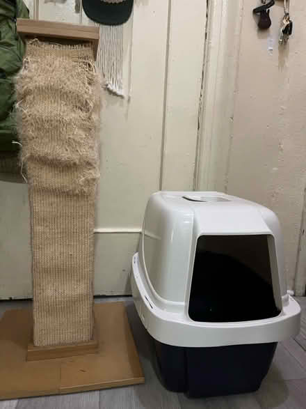 Photo of free Cat scratcher and litter box (Crown Heights) #1