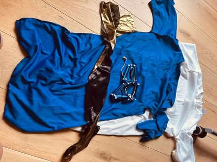 Photo of free Halloween costumes - bits and bobs (Fleetville AL4) #3