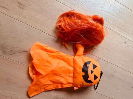 Photo of free Halloween costumes - bits and bobs (Fleetville AL4) #1