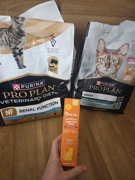Photo of free Renal cat food (Braintree CM7) #1