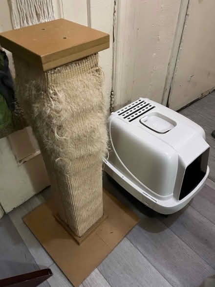 Photo of free Cat scratcher and litter box (Crown Heights) #2