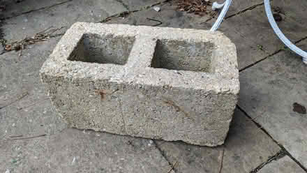 Photo of free Cinder block for use as planter or building. (Caldecott OX14) #1