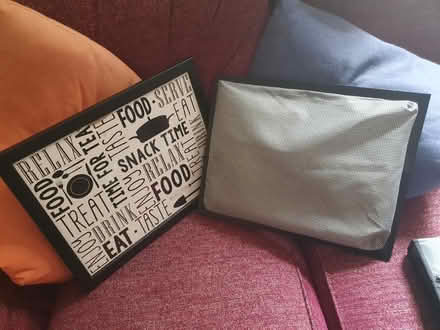 Photo of free Lap trays (Newfoundpool LE3) #1