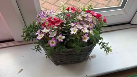 Photo of free Fake plant (Kimberworth S61) #2