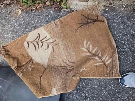 Photo of free old rugs (small) (Yonge/Sheppard) #1
