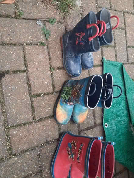 Photo of free Wellys size 10 (New addington CR0) #1